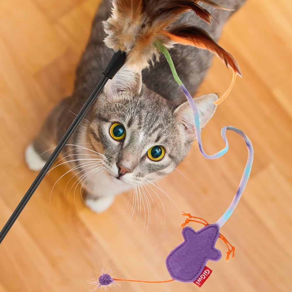 Catwand Feather Teaser