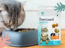 Natura Nourish Dentiguard Airbites